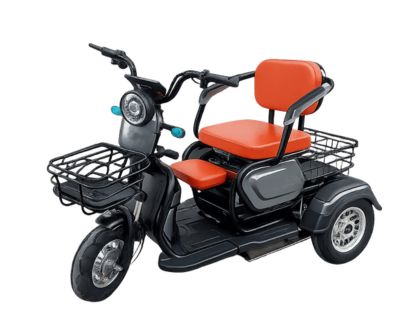 Электрический трицикл SHTENLI Model 31 SLA