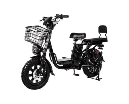 Model V-12 48/12 li-on