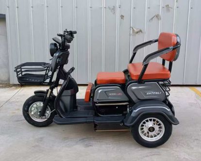 trike31