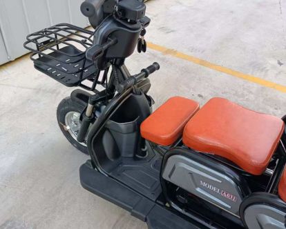 trike31
