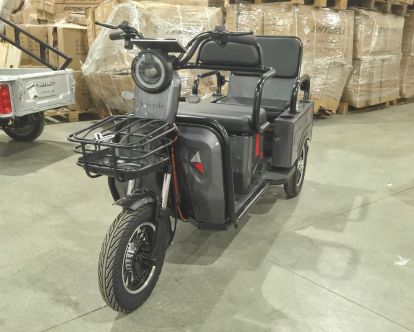 trike31
