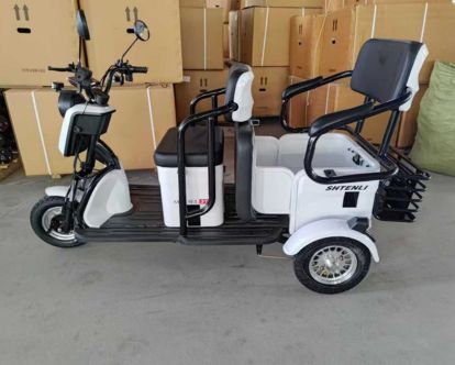 trike31