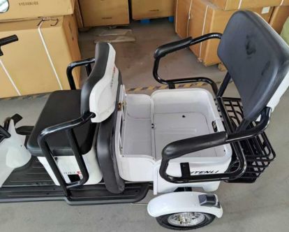 trike31