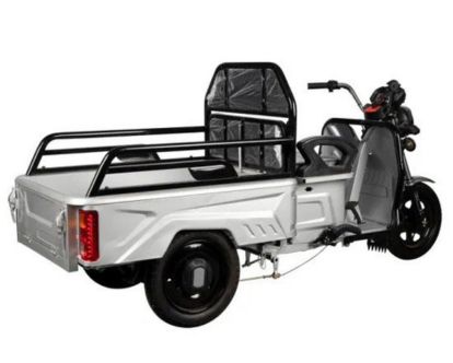 trike31