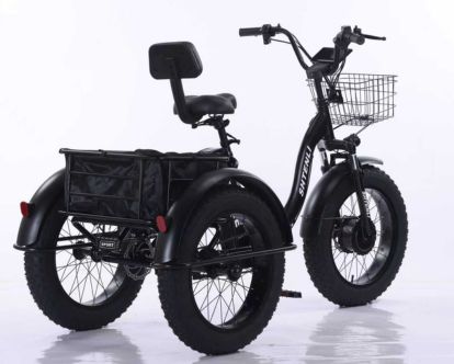 trike31