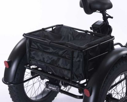 trike31
