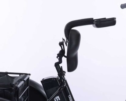 trike31